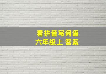 看拼音写词语六年级上 答案